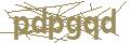 psychotherapy Graz