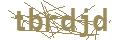 psychotherapy Graz